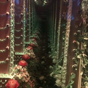 Meet your Posher, Shylene